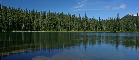 Elk Lake in the Indian Heaven Wilderness