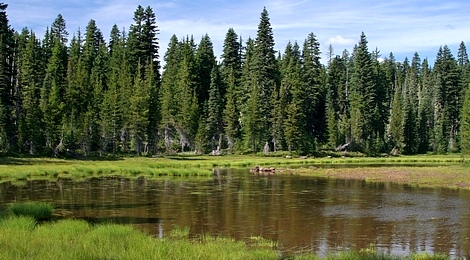 Small pond near the Indian Racetrack in the Indian Heaven Wilderness