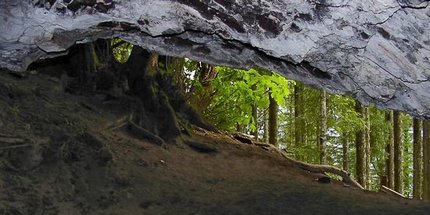 Layser Cave in the Gifford Pinchot National Forest