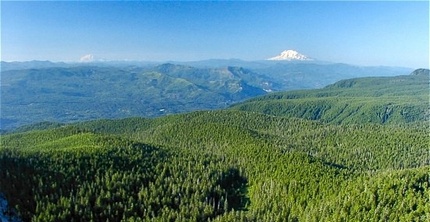 Sherrard Point View on the summit of Larch Mountain