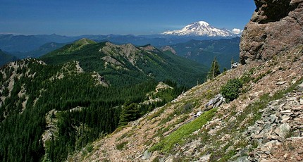 Mt Rainier as seen from the Sunrise Peak trail in the Gifford Pinchot National Forest