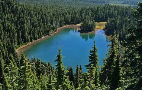 Wapiki Lake as seen from the ridge above in the Indian Heaven Wilderness