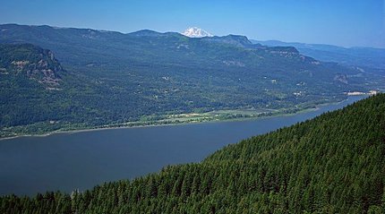 Mt Adams and the Columbia River Gorge from Devils Rest