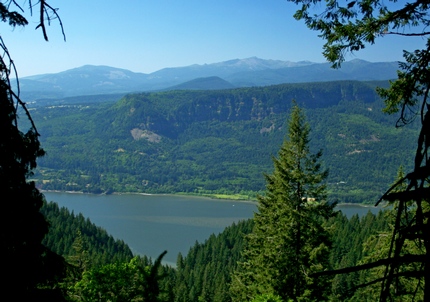 Looking north across the Columbia River Gorge from a viewpoint along the Devils Rest trail