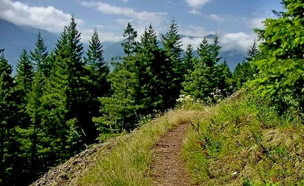 Greenleaf Overlook trail