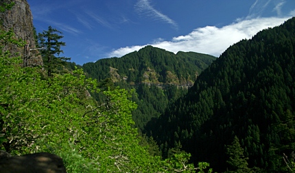 Munra Point trail view