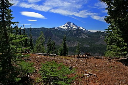 View of Mt Jefferson from Ruddy Hill