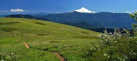 Mt Hood Oregon as seen from Grassy Knoll in the Gifford Pinchot National Forest