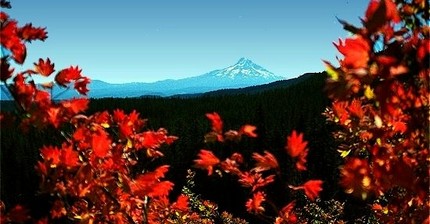 Looking south at Mt Hood from the Green Point trail