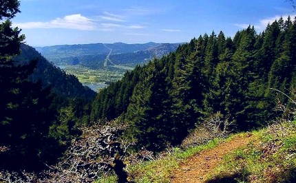Ruckle Creek Ridge trail