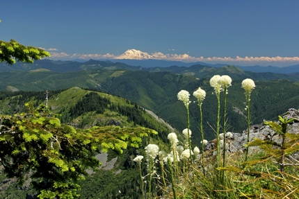 Mt. Adams as seen from the summit of Silver Star Mountain