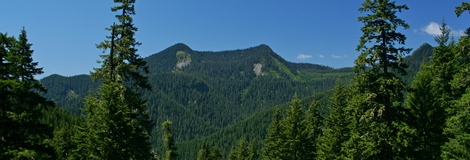Soda Peaks as seen from the trail in the Trapper Creek Wilderness