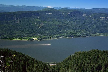 Looking north toward Mt. St. Helens from the Devils Rest overlook